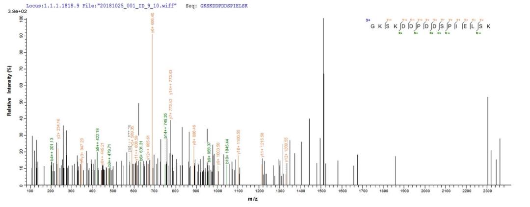 Based on the SEQUEST from database of E.coli host and target protein, the LC-MS/MS Analysis result of CSB-EP025844MO could indicate that this peptide derived from E.coli-expressed Mus musculus (Mouse) Veph1.