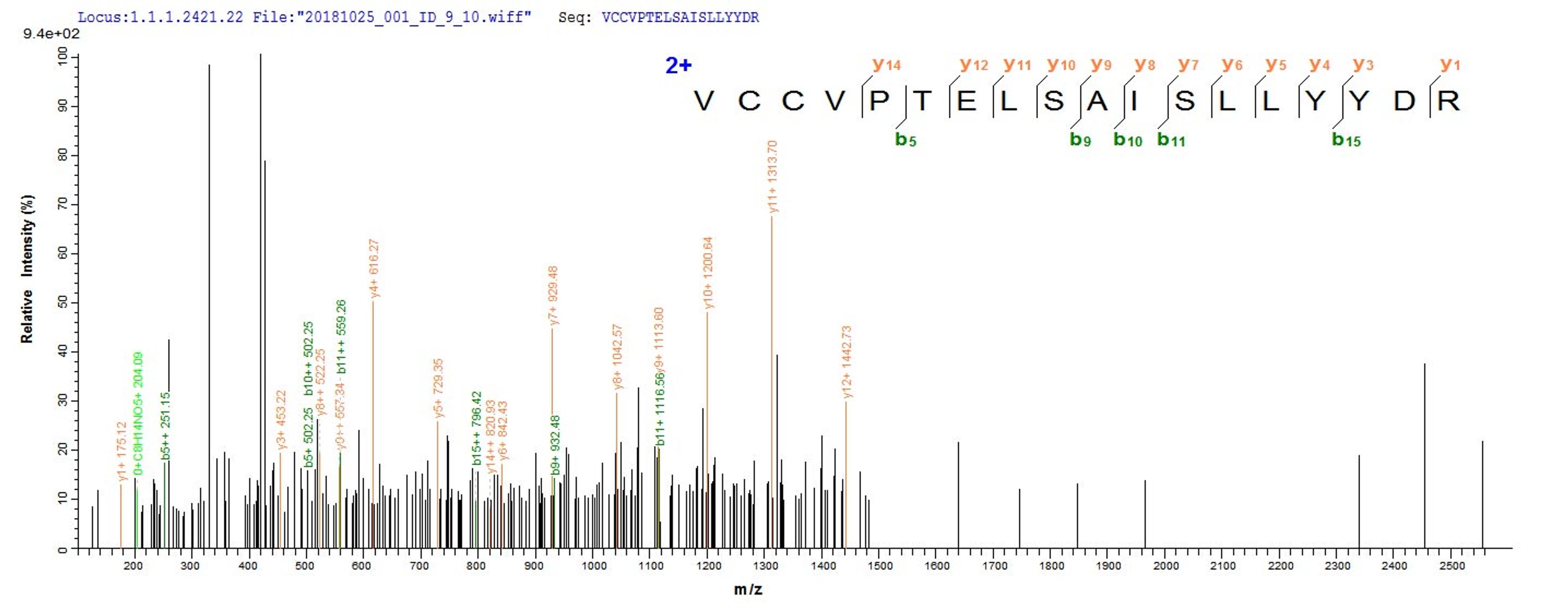 Based on the SEQUEST from database of E.coli host and target protein, the LC-MS/MS Analysis result of CSB-EP002746MO could indicate that this peptide derived from E.coli-expressed Mus musculus (Mouse) Bmp8b.