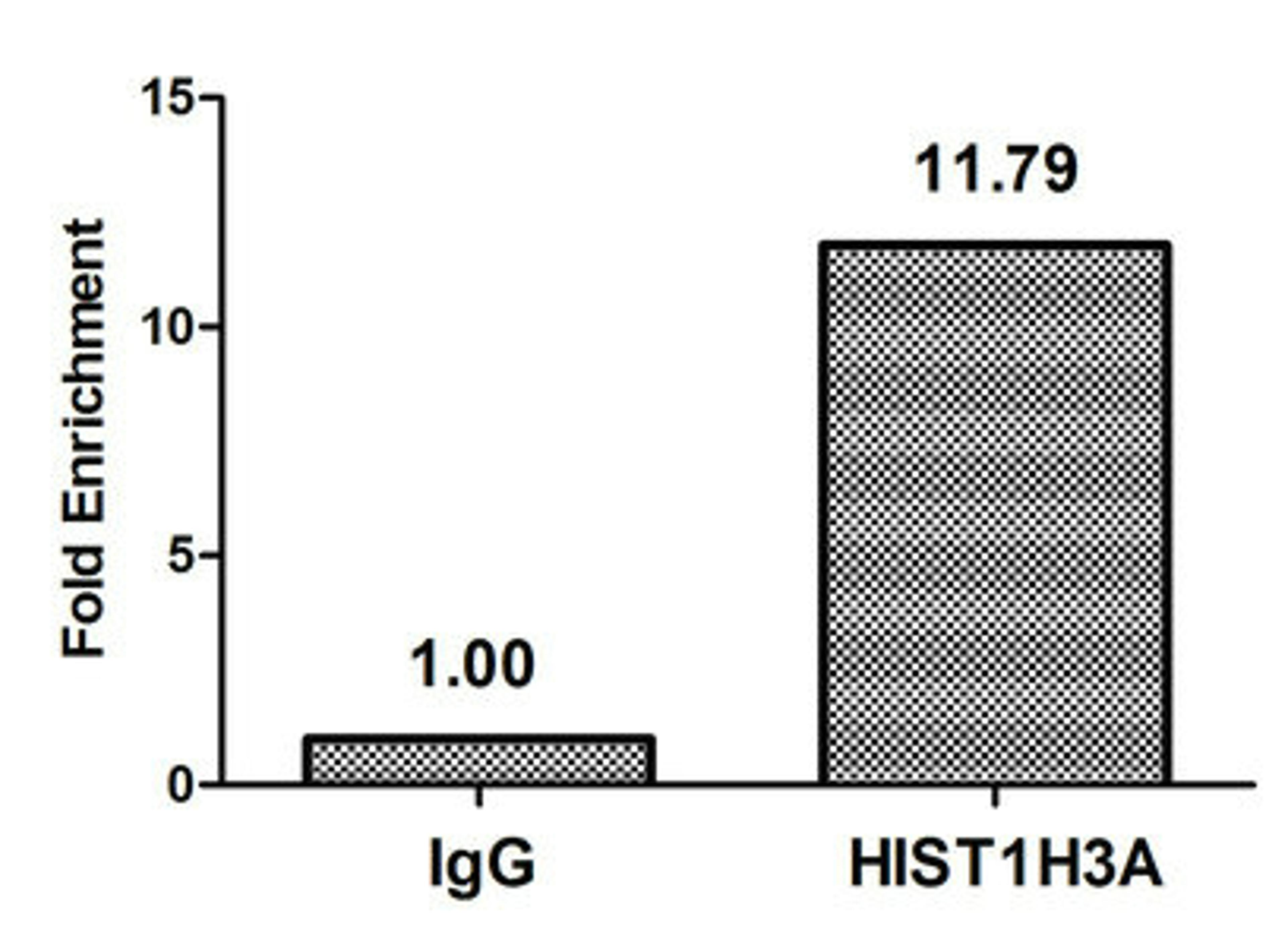 Chromatin Immunoprecipitation Hela (10<sup>6</sup>, treated with 30mM sodium butyrate for 4h) were treated with Micrococcal Nuclease, sonicated, and immunoprecipitated with 5µg anti-HIST1H3A (CSB-PA010418OA22acHU) or a control normal rabbit IgG. The resulting ChIP DNA was quantified using real-time PCR with primers against the β-Globin promoter.