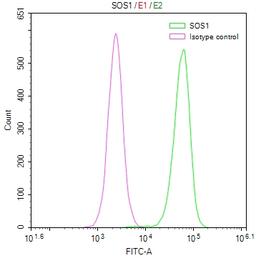 Overlay Peak curve showing Hela cells stained with CSB-RA561936A0HU (red line) at 1:50. The cells were fixed in 4% formaldehyde and permeated by 0.2% TritonX-100. Then 10% normal goat serum to block non-specific protein-protein interactions followed by the antibody (1µg/1*10<sup>6</sup>cells) for 45min at 4℃. The secondary antibody used was FITC-conjugated Goat Anti-rabbit IgG(H+L) at 1:200 dilution for 35min at 4℃.Control antibody (green line) was rabbit IgG (1µg/1*10<sup>6</sup>cells) used under the same conditions. Acquisition of >10,000 events was performed.