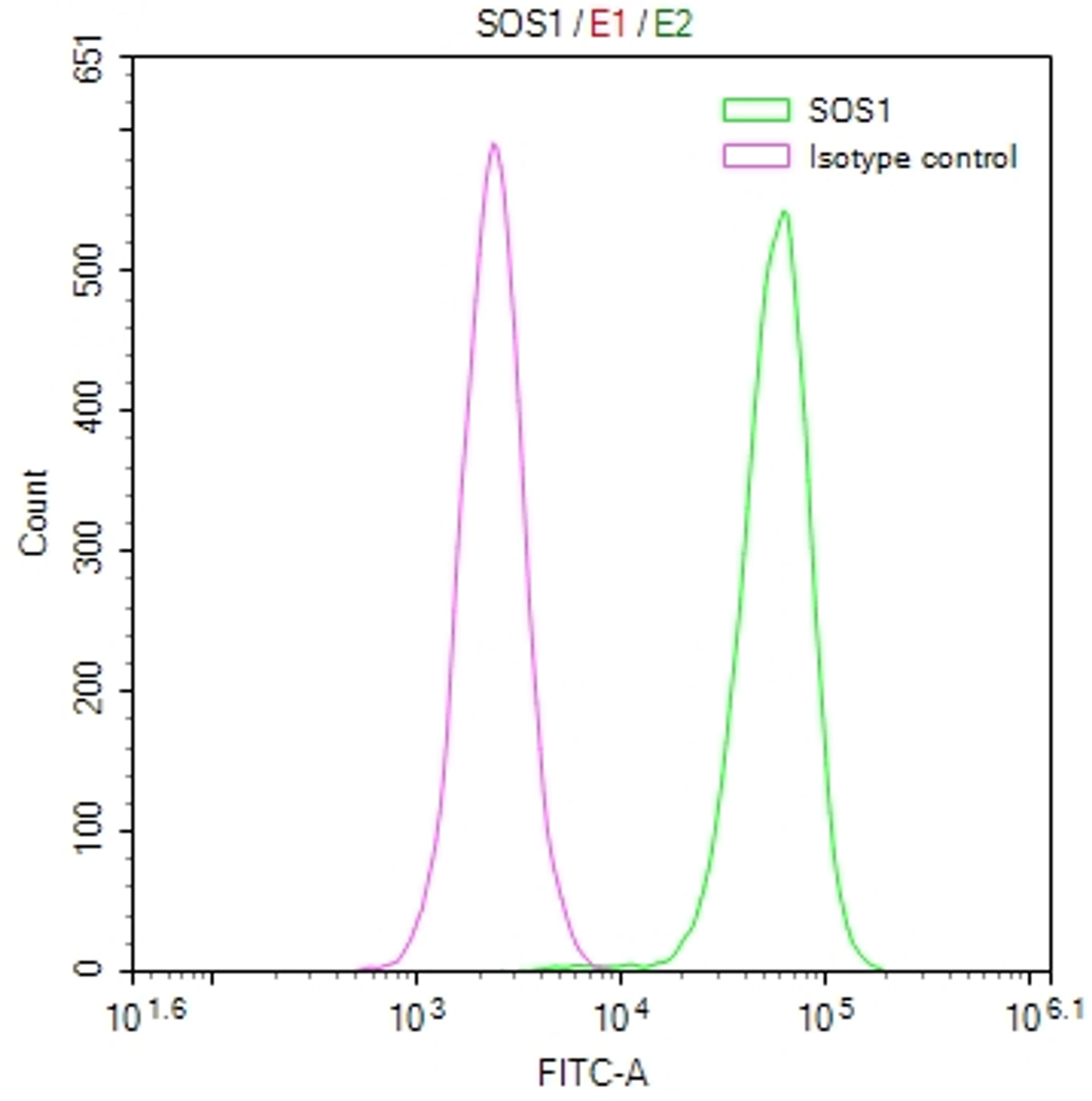 Overlay Peak curve showing Hela cells stained with CSB-RA561936A0HU (red line) at 1:50. The cells were fixed in 4% formaldehyde and permeated by 0.2% TritonX-100. Then 10% normal goat serum to block non-specific protein-protein interactions followed by the antibody (1µg/1*10<sup>6</sup>cells) for 45min at 4℃. The secondary antibody used was FITC-conjugated Goat Anti-rabbit IgG(H+L) at 1:200 dilution for 35min at 4℃.Control antibody (green line) was rabbit IgG (1µg/1*10<sup>6</sup>cells) used under the same conditions. Acquisition of >10,000 events was performed.