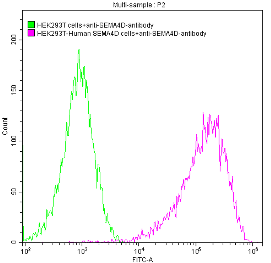 Untransfected HEK293T cells (green line) and transfected Human SEMA4D HEK293T stable cells (red line) were stained with anti-SEMA4D antibody (2µg/1*10<sup>6</sup> cells), washed and then followed by FITC-conjugated anti-Human IgG Fc antibody and analyzed with flow cytometry.
