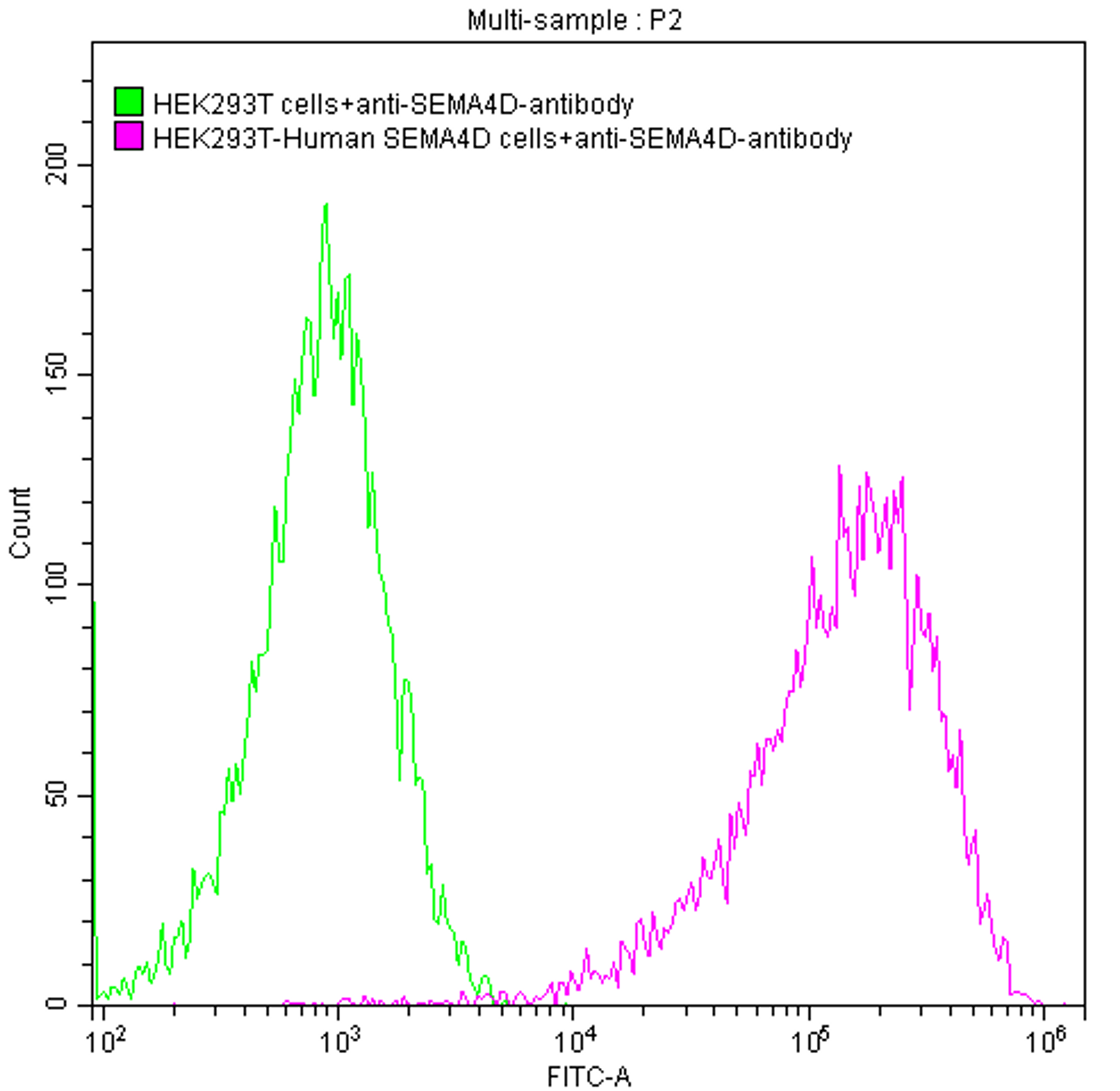 Untransfected HEK293T cells (green line) and transfected Human SEMA4D HEK293T stable cells (red line) were stained with anti-SEMA4D antibody (2µg/1*10<sup>6</sup> cells), washed and then followed by FITC-conjugated anti-Human IgG Fc antibody and analyzed with flow cytometry.