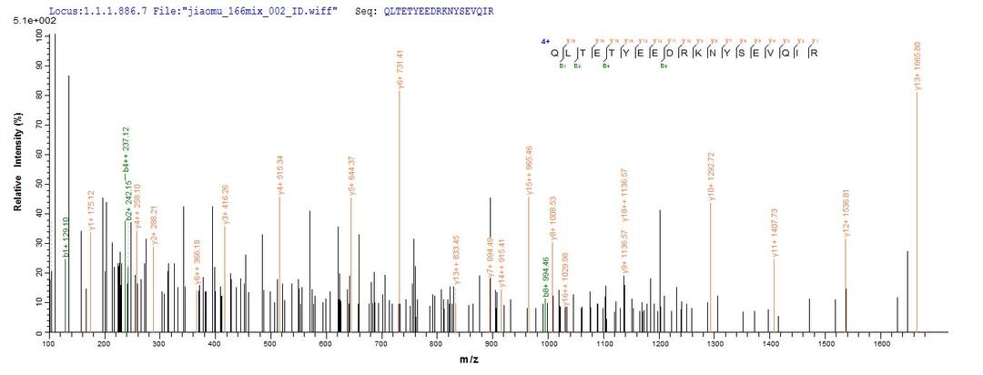 Based on the SEQUEST from database of E.coli host and target protein, the LC-MS/MS Analysis result of CSB-EP845171HU could indicate that this peptide derived from E.coli-expressed Homo sapiens (Human) PIBF1.