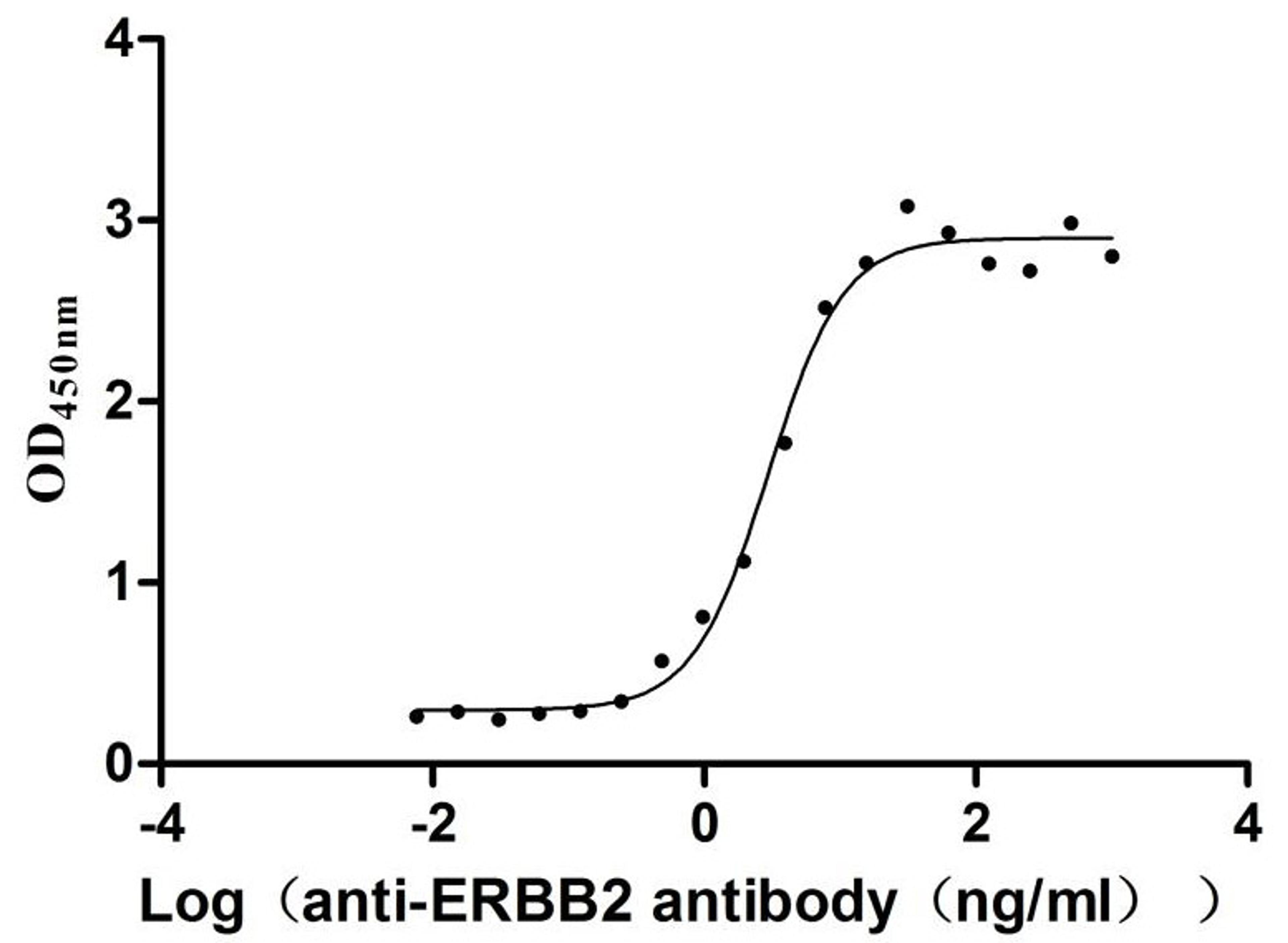 The Binding Activity of Human ERBB2 with Anti-ERBB2 Recombinant Antibody. Activity: Measured by its binding ability in a functional ELISA. Immobilized Human ERBB2 (CSB-MP007763HU) at 2 μg/mL can bind Anti-ERBB2 recombinant antibody, the EC<sub>50</sub> is 2.455-3.565 ng/mL.