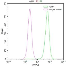 Overlay Peak curve showing Hela cells stained with CSB-RA182340A0HU (red line) at 1:50. The cells were fixed in 4% formaldehyde and permeated by 0.2% TritonX-100. Then 10% normal goat serum to block non-specific protein-protein interactions followed by the antibody (1µg/1*10<sup>6</sup>cells) for 45min at 4℃. The secondary antibody used was FITC-conjugated Goat Anti-rabbit IgG(H+L) at 1:200 dilution for 35min at 4℃.Control antibody (green line) was rabbit IgG (1µg/1*10<sup>6</sup>cells) used under the same conditions. Acquisition of >10,000 events was performed.