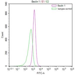 Overlay Peak curve showing RAJI cells stained with CSB-RA062241A0HU (red line) at 1:50. The cells were fixed in 4% formaldehyde and permeated by 0.2% TritonX-100. Then 10% normal goat serum to block non-specific protein-protein interactions followed by the antibody (1µg/1*10<sup>6</sup>cells) for 45min at 4℃. The secondary antibody used was FITC-conjugated Goat Anti-rabbit IgG(H+L) at 1:200 dilution for 35min at 4℃.Control antibody (green line) was rabbit IgG (1µg/1*10<sup>6</sup>cells) used under the same conditions. Acquisition of >10,000 events was performed.