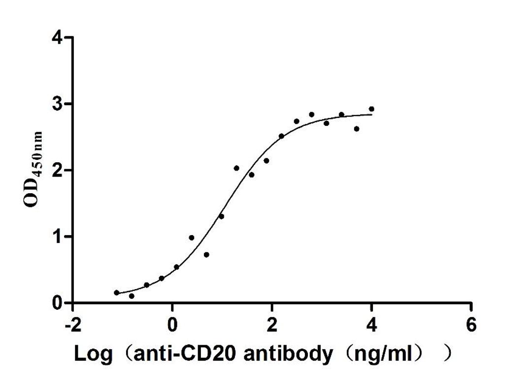 The Binding Activity of Human MS4A1 with Anti-MS4A1 recombinant antibody. Activity: Measured by its binding ability in a functional ELISA. Immobilized Human MS4A1 (CSB-MP015007HU) at 5 μg/mL can bind Anti-MS4A1 recombinant antibody, the EC<sub>50</sub> is 6.959-19.70 ng/mL.