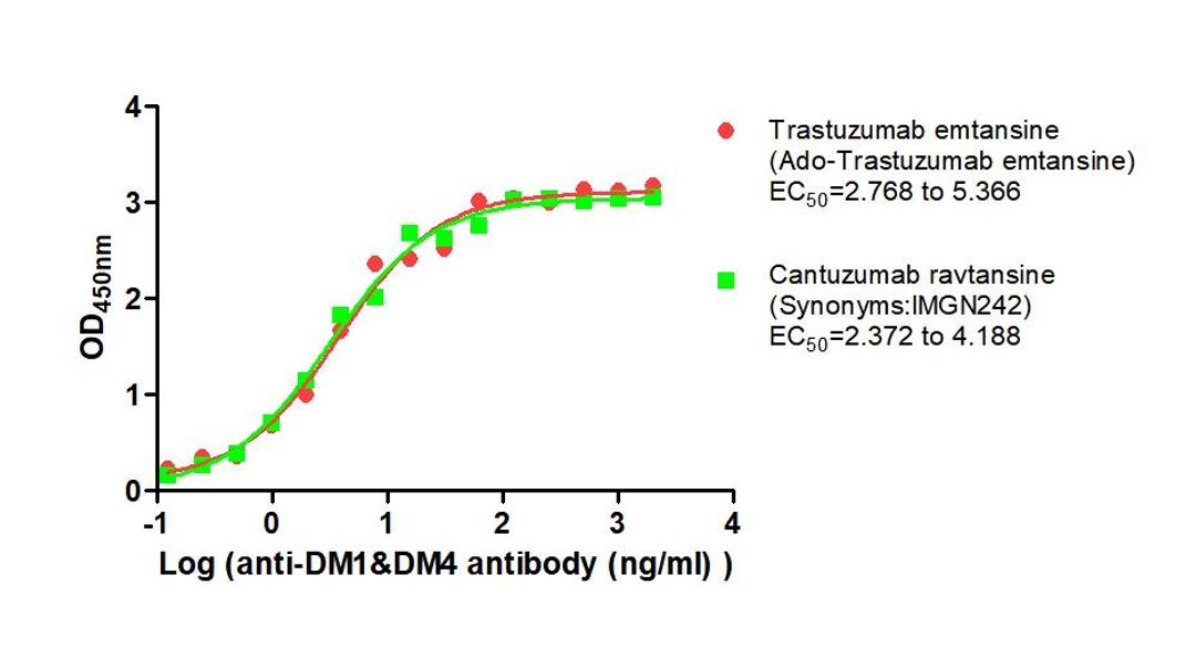 The Binding Activity of Trastuzumab emtansine (Ado-Trastuzumab emtansine) and Cantuzumab ravtansine (Synonyms:IMGN242) with Anti-DM1&DM4 antibody. Activity: Measured by its binding ability in a functional ELISA. Immobilized Trastuzumab emtansine (Ado-Trastuzumab emtansine) and Cantuzumab ravtansine (Synonyms:IMGN242) at 2 μg/mL can bind Anti-DM1&DM4 antibody, the EC<sub>50</sub> is 2.768 to 5.366 ng/mL and 2.372 to 4.188 ng/mL, respectively.