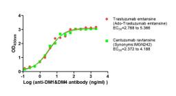 The Binding Activity of Trastuzumab emtansine (Ado-Trastuzumab emtansine) and Cantuzumab ravtansine (Synonyms:IMGN242) with Anti-DM1&DM4 antibody. Activity: Measured by its binding ability in a functional ELISA. Immobilized Trastuzumab emtansine (Ado-Trastuzumab emtansine) and Cantuzumab ravtansine (Synonyms:IMGN242) at 2 μg/mL can bind Anti-DM1&DM4 antibody, the EC<sub>50</sub> is 2.768 to 5.366 ng/mL and 2.372 to 4.188 ng/mL, respectively.