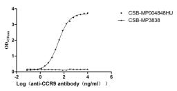 The Binding Activity of CCR9 with Anti-CCR9 recombinant antibody. Activity: Measured by its binding ability in a functional ELISA. Immobilized Human CCR9 at 10 μg/mL can bind Anti-CCR9 recombinant antibody (CSB-RA004848MA1HU). The EC<sub>50</sub> is 31.67-36.83 ng/mL.The VLPs (CSB-MP3838) is negative control.