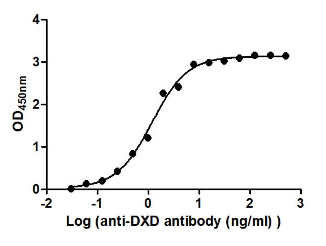 The Binding Activity of T-DXd(DS-8201) with Anti-DXD antibody. Activity: Measured by its binding ability in a functional ELISA. Immobilized T-DXd(DS-8201) at 2 μg/mL can bind Anti-DXD antibody, the EC<sub>50</sub> is 0.9828 to 1.446 ng/mL.