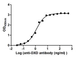 The Binding Activity of T-DXd(DS-8201) with Anti-DXD antibody. Activity: Measured by its binding ability in a functional ELISA. Immobilized T-DXd(DS-8201) at 2 μg/mL can bind Anti-DXD antibody, the EC<sub>50</sub> is 0.9828 to 1.446 ng/mL.