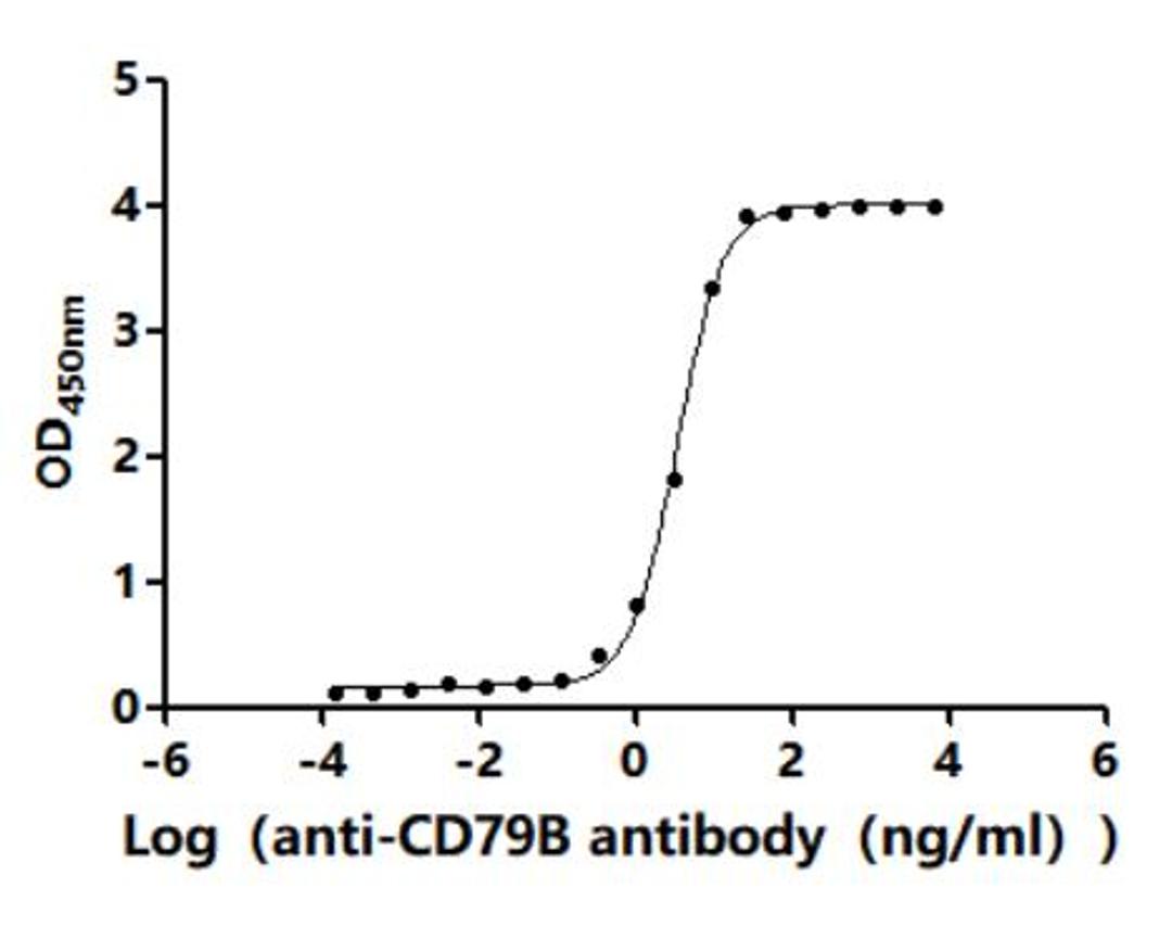 The Binding Activity of Human CD79B with Anti-CD79B recombinant antibody. Activity: Measured by its binding ability in a functional ELISA. Immobilized Human CD79A(CSB-MP004958HU1) at 2 μg/mL can bind Anti-CD79B recombinant antibody. The EC<sub>50</sub> is 3.214-3.642 ng/mL.