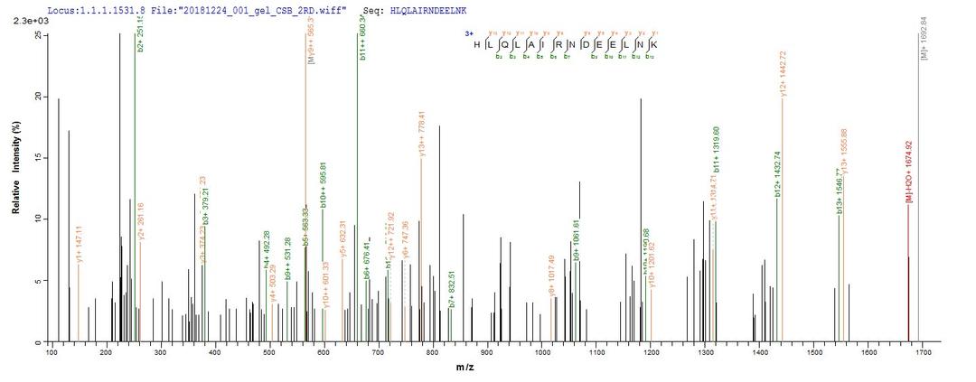 Based on the SEQUEST from database of E.coli host and target protein, the LC-MS/MS Analysis result of CSB-EP010097HU1 could indicate that this peptide derived from E.coli-expressed Homo sapiens (Human) H2AFX,H2AX .