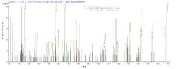 Based on the SEQUEST from database of E.coli host and target protein, the LC-MS/MS Analysis result of CSB-EP010097HU1 could indicate that this peptide derived from E.coli-expressed Homo sapiens (Human) H2AFX,H2AX .