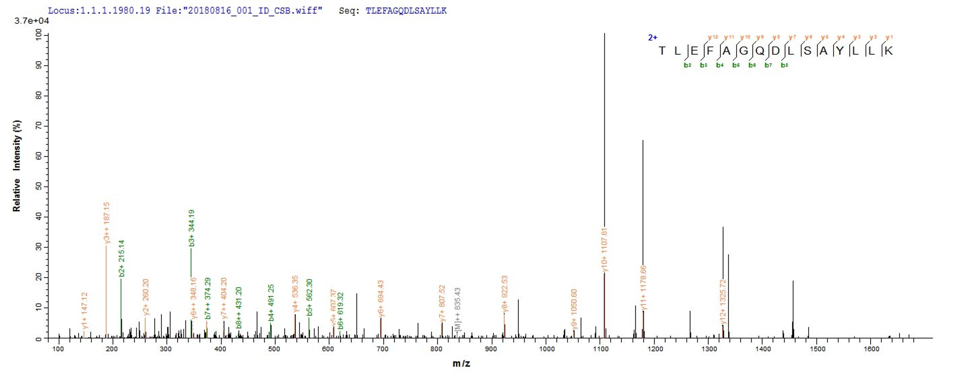 Based on the SEQUEST from database of Yeast host and target protein, the LC-MS/MS Analysis result of CSB-YP887982HU could indicate that this peptide derived from Yeast-expressed Homo sapiens (Human) ACTL8.