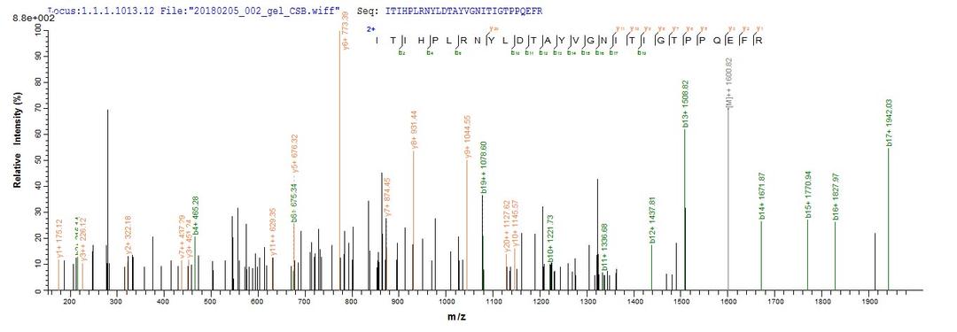 Based on the SEQUEST from database of E.coli host and target protein, the LC-MS/MS Analysis result of CSB-EP637747BO could indicate that this peptide derived from E.coli-expressed Bos taurus (Bovine) PAG2.