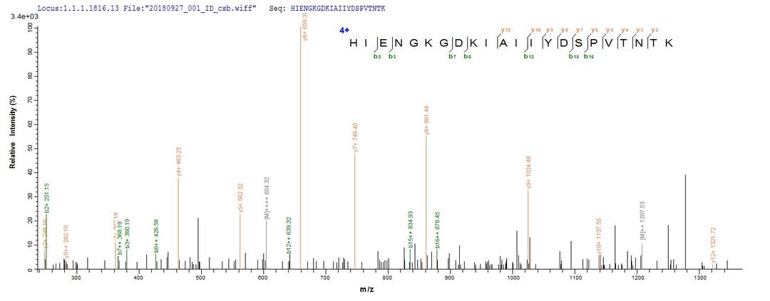 Based on the SEQUEST from database of E.coli host and target protein, the LC-MS/MS Analysis result of CSB-EP887990HU could indicate that this peptide derived from E.coli-expressed Homo sapiens (Human) ACSS3.