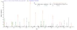 Based on the SEQUEST from database of E.coli host and target protein, the LC-MS/MS Analysis result of CSB-EP887990HU could indicate that this peptide derived from E.coli-expressed Homo sapiens (Human) ACSS3.
