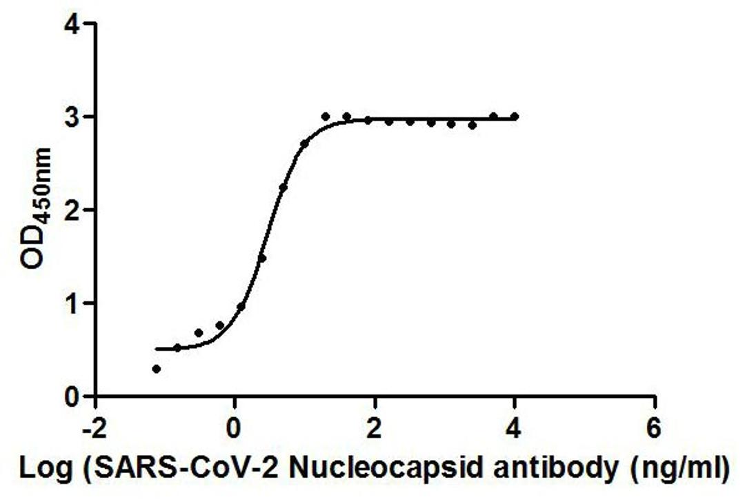 The Binding Activity of SARS-CoV-2-N Antibody with SARS-CoV-2-N. Activity: Measured by its binding ability in a functional ELISA. Immobilized SARS-CoV-2-N at 2 μg/ml can bind SARS-CoV-2-N Antibody, the EC<sub>50</sub> is 2.928 ng/ml.