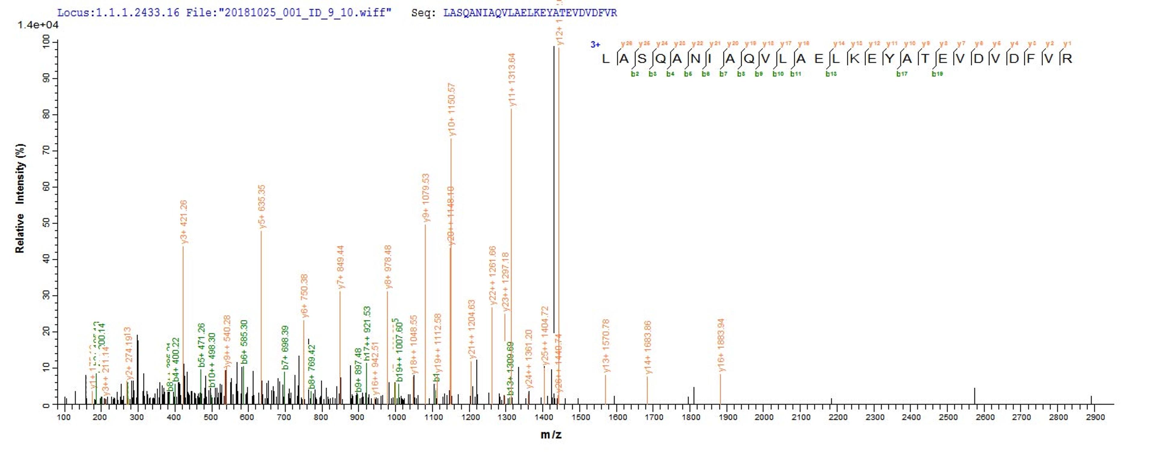 Based on the SEQUEST from database of E.coli host and target protein, the LC-MS/MS Analysis result of CSB-EP604616HU could indicate that this peptide derived from E.coli-expressed Homo sapiens (Human) AP1B1.