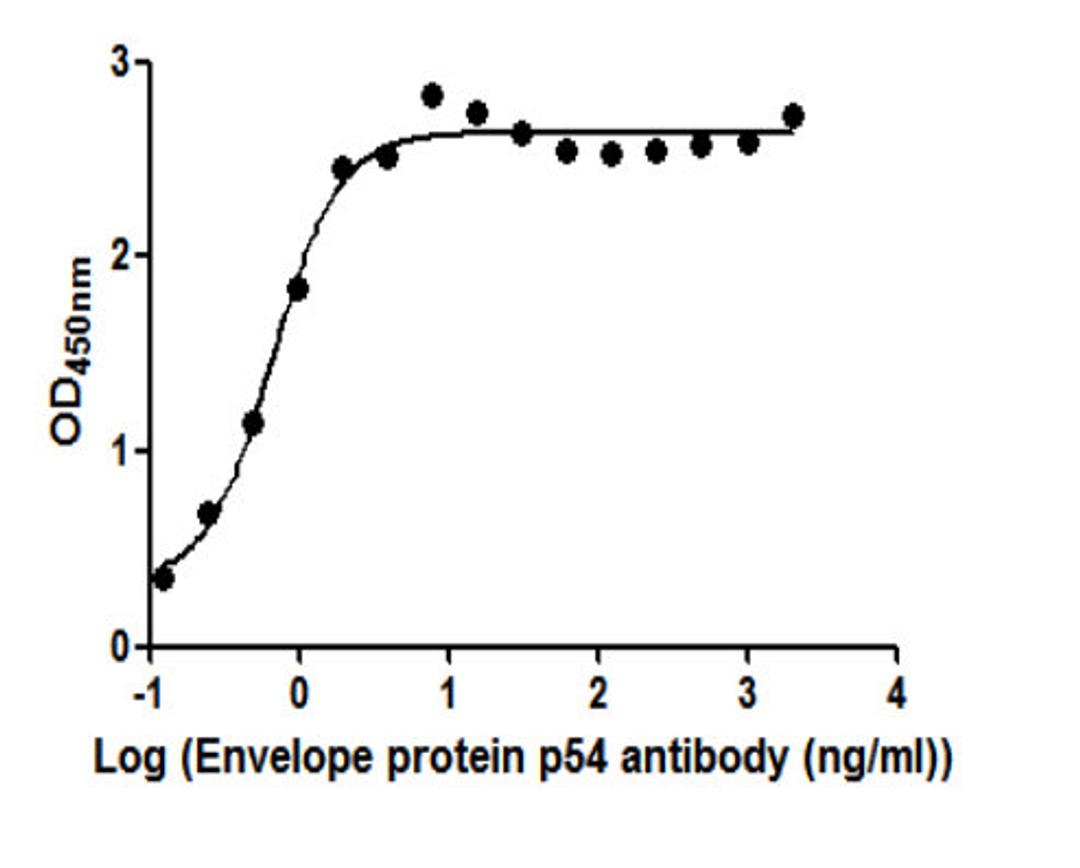 The Binding Activity of  African swine fever virus Envelope protein p54 (Ba71V-126). Activity: Measured by its binding ability in a functional ELISA. Immobilized African swine fever virus Envelope protein p54 (Ba71V-126) protein at 2 ug/ml can bind African swine fever virus Envelope protein p54 (Ba71V-126) Antibody, the EC<sub>50</sub> is 0.5238 to 0.8456 ng/ml.