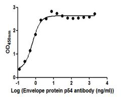 The Binding Activity of  African swine fever virus Envelope protein p54 (Ba71V-126). Activity: Measured by its binding ability in a functional ELISA. Immobilized African swine fever virus Envelope protein p54 (Ba71V-126) protein at 2 ug/ml can bind African swine fever virus Envelope protein p54 (Ba71V-126) Antibody, the EC<sub>50</sub> is 0.5238 to 0.8456 ng/ml.
