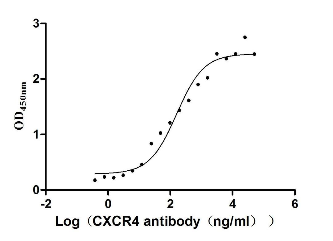 The Binding Activity of Human CXCR4 with Anti-CXCR4 recombinant Antibody. Activity: Measured by its binding ability in a functional ELISA. Immobilized Human CXCR4 (CSB-MP006254HU(F1)) at 10 μg/mL can bind Anti-CXCR4 recombinant antibody, the EC<sub>50</sub> is 101.7-253.6 ng/mL.