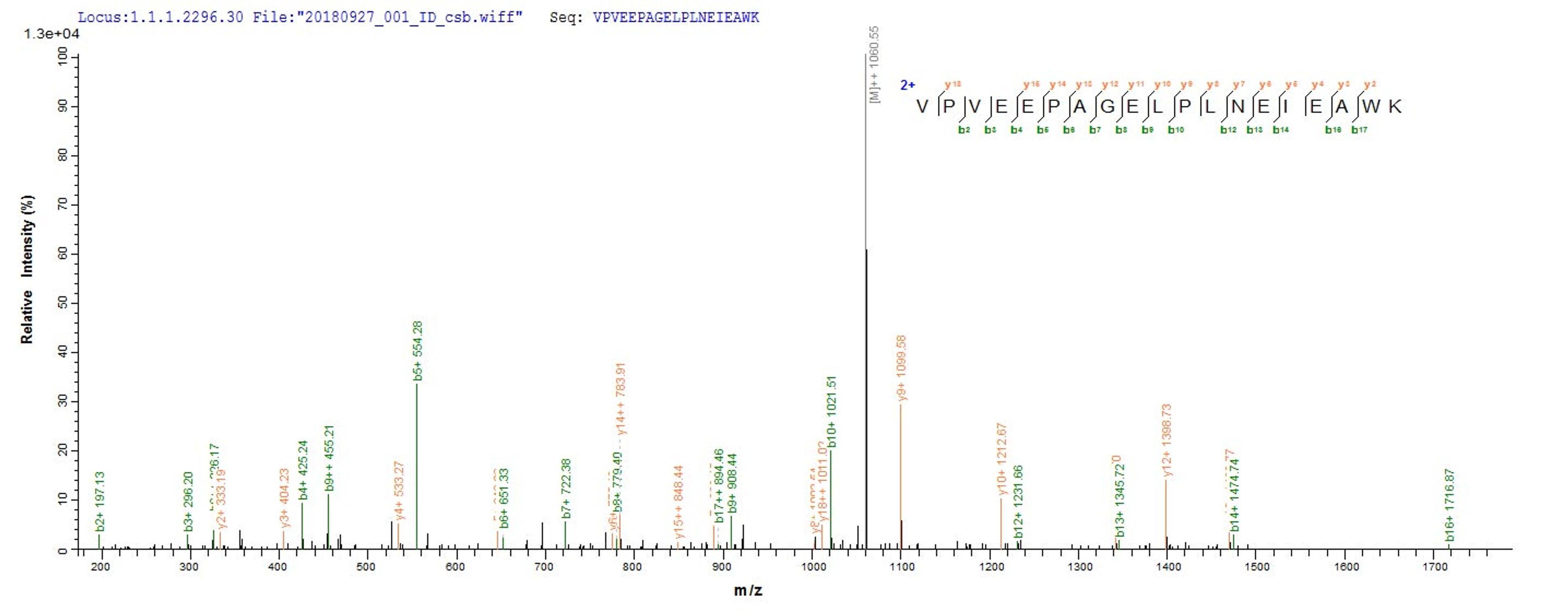 Based on the SEQUEST from database of E.coli host and target protein, the LC-MS/MS Analysis result of CSB-CF018146MO could indicate that this peptide derived from E.coli-expressed Recombinant Mouse Phospholipase D3(Pld3) Pld3.
