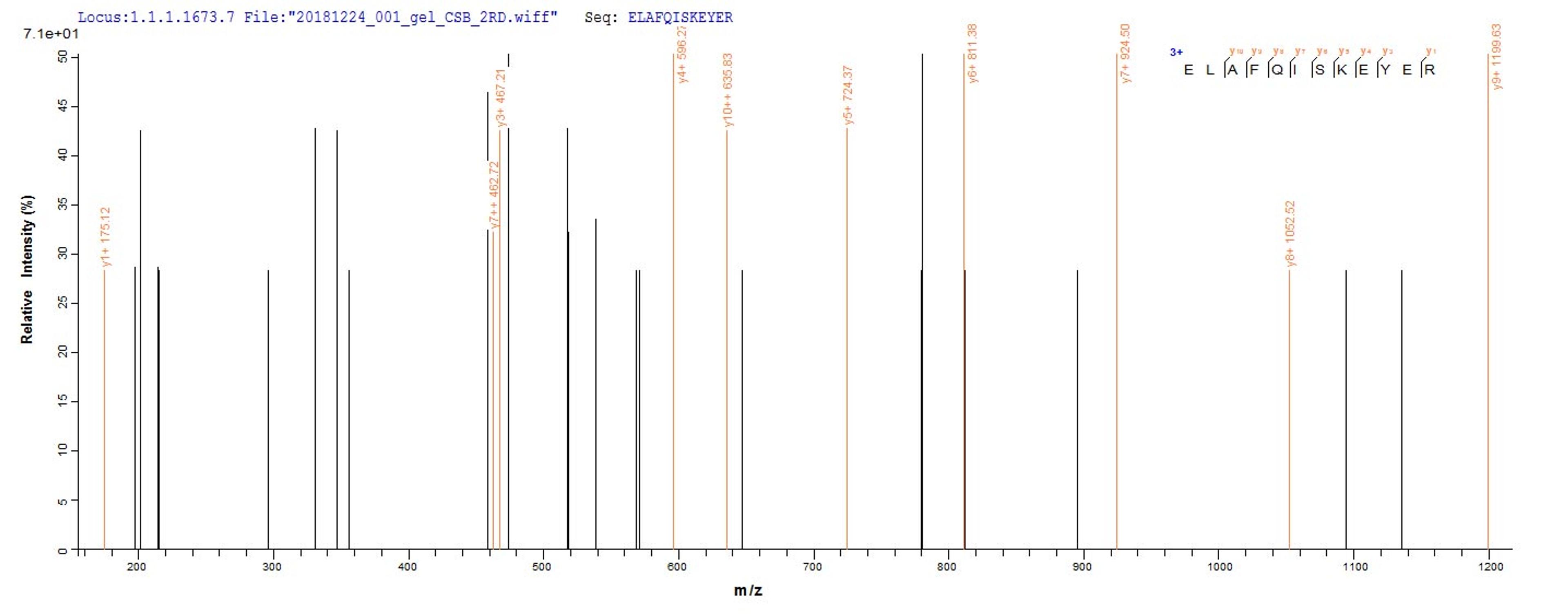 Based on the SEQUEST from database of E.coli host and target protein, the LC-MS/MS Analysis result of CSB-EP615720HU1 could indicate that this peptide derived from E.coli-expressed Homo sapiens (Human) DDX39B.