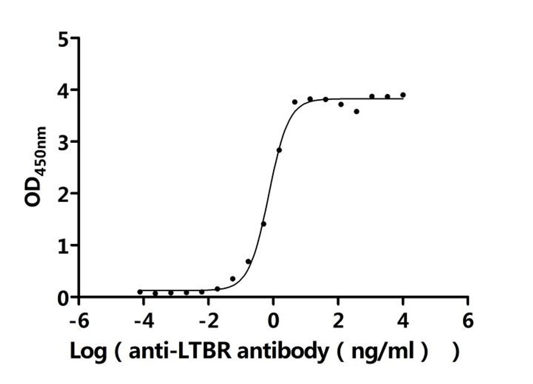 The Binding Activity of Human LTBR with Anti-LTBR Recombinant Antibody. Activity: Measured by its binding ability in a functional ELISA. Immobilized Human LTBR(CSB-MP013227HU1) at 2 μg/mL can bind Anti-LTBR recombinant antibody. The EC<sub>50</sub> is 0.6450-0.8200 ng/mL.