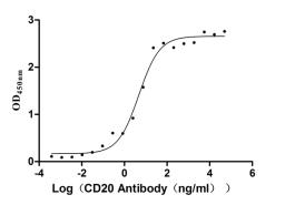 The Binding Activity of Human CD20 with Anti-CD20 recombinant Antibody. Activity: Measured by its binding ability in a functional ELISA. Immobilized Human CD20 (CSB-MP01<sub>50</sub>07HU) at 2 μg/mL can bind Anti-CD20 recombinant antibody, the EC<sub>50</sub> is 3.243-7.085 ng/mL.