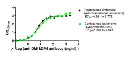 The Binding Activity of Trastuzumab emtansine (Ado-Trastuzumab emtansine) and Cantuzumab ravtansine (Synonyms:IMGN242) with Anti-DM1&DM4 antibody. Activity: Measured by its binding ability in a functional ELISA. Immobilized Trastuzumab emtansine (Ado-Trastuzumab emtansine) and Cantuzumab ravtansine (Synonyms:IMGN242) at 2 μg/mL can bind Anti-DM1&DM4 antibody, the EC<sub>50</sub> is 4.981 to 6.7789 ng/mL and 5.507 to 9.043 ng/mL, respectively.