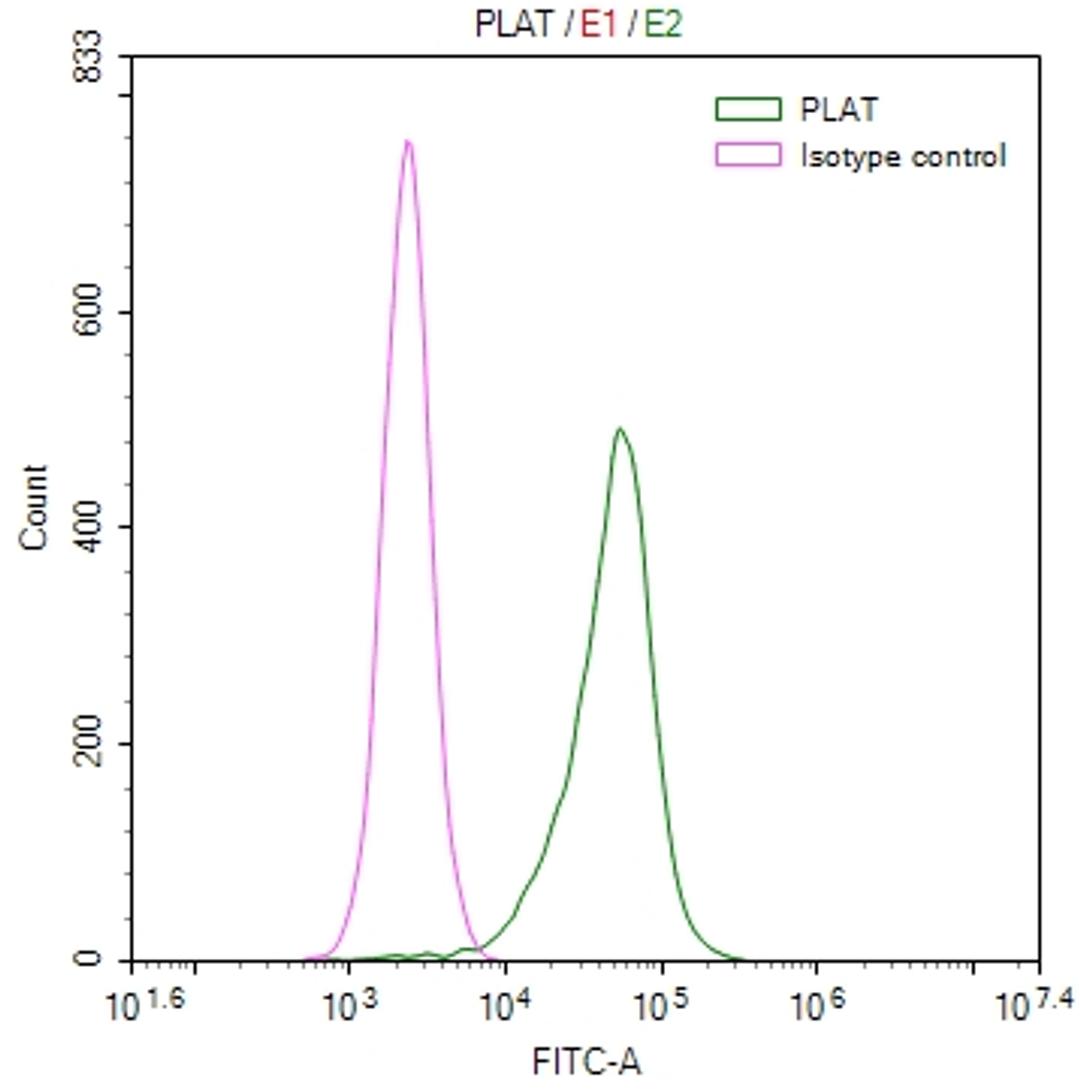 Overlay Peak curve showing Hela cells stained with CSB-RA778654A0HU (red line) at 1:50. The cells were fixed in 4% formaldehyde and permeated by 0.2% TritonX-100. Then 10% normal goat serum to block non-specific protein-protein interactions followed by the antibody (1µg/1*10<sup>6</sup>cells) for 45min at 4℃. The secondary antibody used was FITC-conjugated Goat Anti-rabbit IgG(H+L) at 1:200 dilution for 35min at 4℃.Control antibody (green line) was rabbit IgG (1µg/1*10<sup>6</sup>cells) used under the same conditions. Acquisition of >10,000 events was performed.
