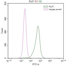 Overlay Peak curve showing Hela cells stained with CSB-RA778654A0HU (red line) at 1:50. The cells were fixed in 4% formaldehyde and permeated by 0.2% TritonX-100. Then 10% normal goat serum to block non-specific protein-protein interactions followed by the antibody (1µg/1*10<sup>6</sup>cells) for 45min at 4℃. The secondary antibody used was FITC-conjugated Goat Anti-rabbit IgG(H+L) at 1:200 dilution for 35min at 4℃.Control antibody (green line) was rabbit IgG (1µg/1*10<sup>6</sup>cells) used under the same conditions. Acquisition of >10,000 events was performed.