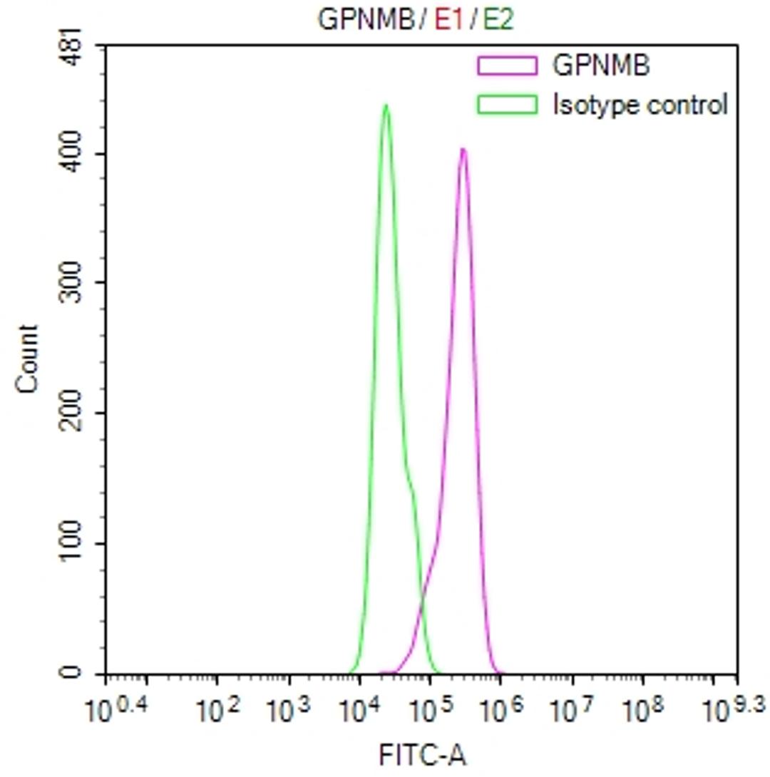 Overlay Peak curve showing Hela cells stained with CSB-RA622928MA1HU (red line) at 1:100. Then 10% normal goat serum was Incubated to block non-specific protein-protein interactions followed by the antibody (1µg/1*10<sup>6</sup>cells) for 45 min at 4°C. The secondary antibody used was FITC-conjugated Goat Anti-Mouse IgG(H+L) at 1/200 dilution for 35 min at 4°C. Isotype control antibody (green line) was mouse IgG1 (1µg/1*10<sup>6</sup>cells) used under the same conditions. Acquisition of >10, 003 events was performed.