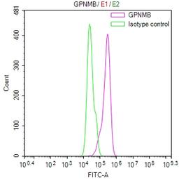 Overlay Peak curve showing Hela cells stained with CSB-RA622928MA1HU (red line) at 1:100. Then 10% normal goat serum was Incubated to block non-specific protein-protein interactions followed by the antibody (1µg/1*10<sup>6</sup>cells) for 45 min at 4°C. The secondary antibody used was FITC-conjugated Goat Anti-Mouse IgG(H+L) at 1/200 dilution for 35 min at 4°C. Isotype control antibody (green line) was mouse IgG1 (1µg/1*10<sup>6</sup>cells) used under the same conditions. Acquisition of >10, 003 events was performed.