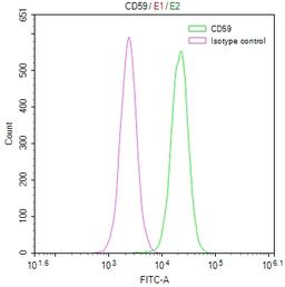Overlay Peak curve showing Hela cells stained with CSB-RA046065A0HU (red line) at 1:50. The cells were fixed in 4% formaldehyde and permeated by 0.2% TritonX-100. Then 10% normal goat serum to block non-specific protein-protein interactions followed by the antibody (1µg/1*10<sup>6</sup>cells) for 45min at 4℃. The secondary antibody used was FITC-conjugated Goat Anti-rabbit IgG(H+L) at 1:200 dilution for 35min at 4℃.Control antibody (green line) was rabbit IgG (1µg/1*10<sup>6</sup>cells) used under the same conditions. Acquisition of >10,000 events was performed.