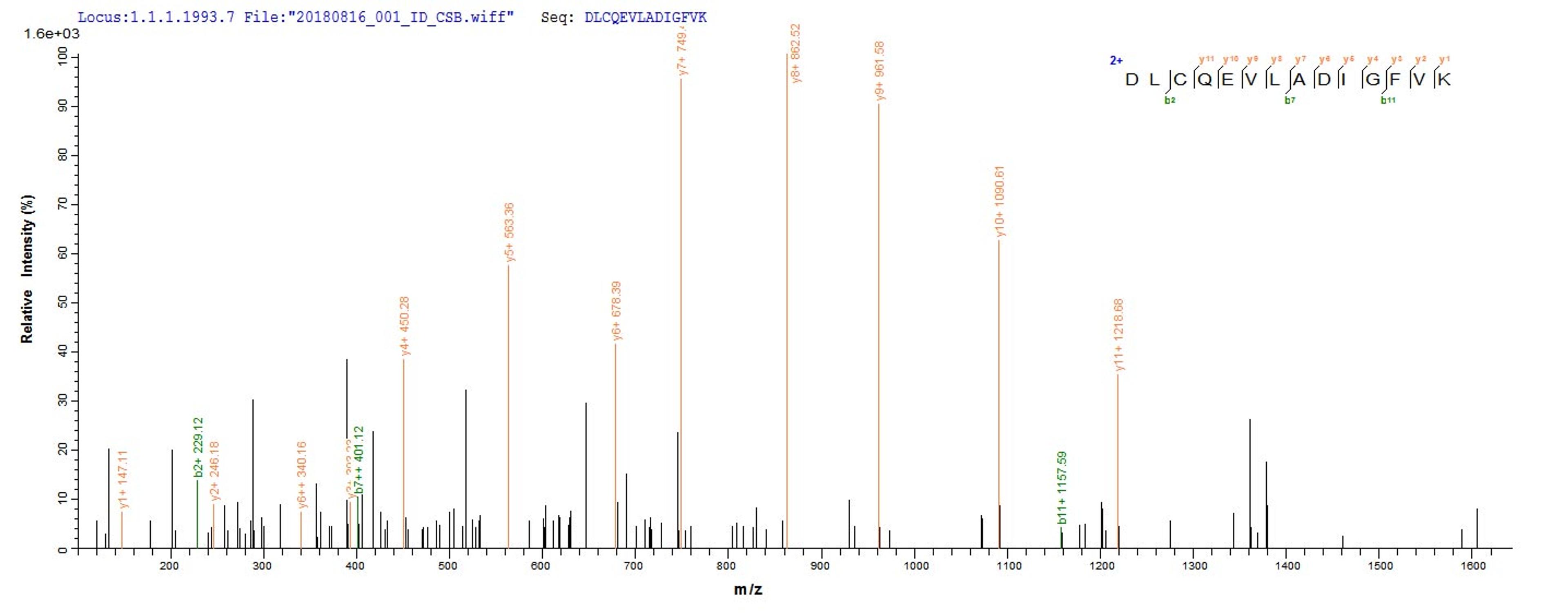 Based on the SEQUEST from database of E.coli host and target protein, the LC-MS/MS Analysis result of CSB-EP859129MO could indicate that this peptide derived from E.coli-expressed Mus musculus (Mouse) Lims1.