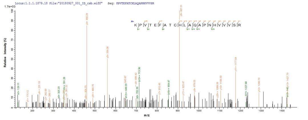 Based on the SEQUEST from database of Yeast host and target protein, the LC-MS/MS Analysis result of CSB-YP023412RA could indicate that this peptide derived from Yeast-expressed Rattus norvegicus (Rat) Tf.