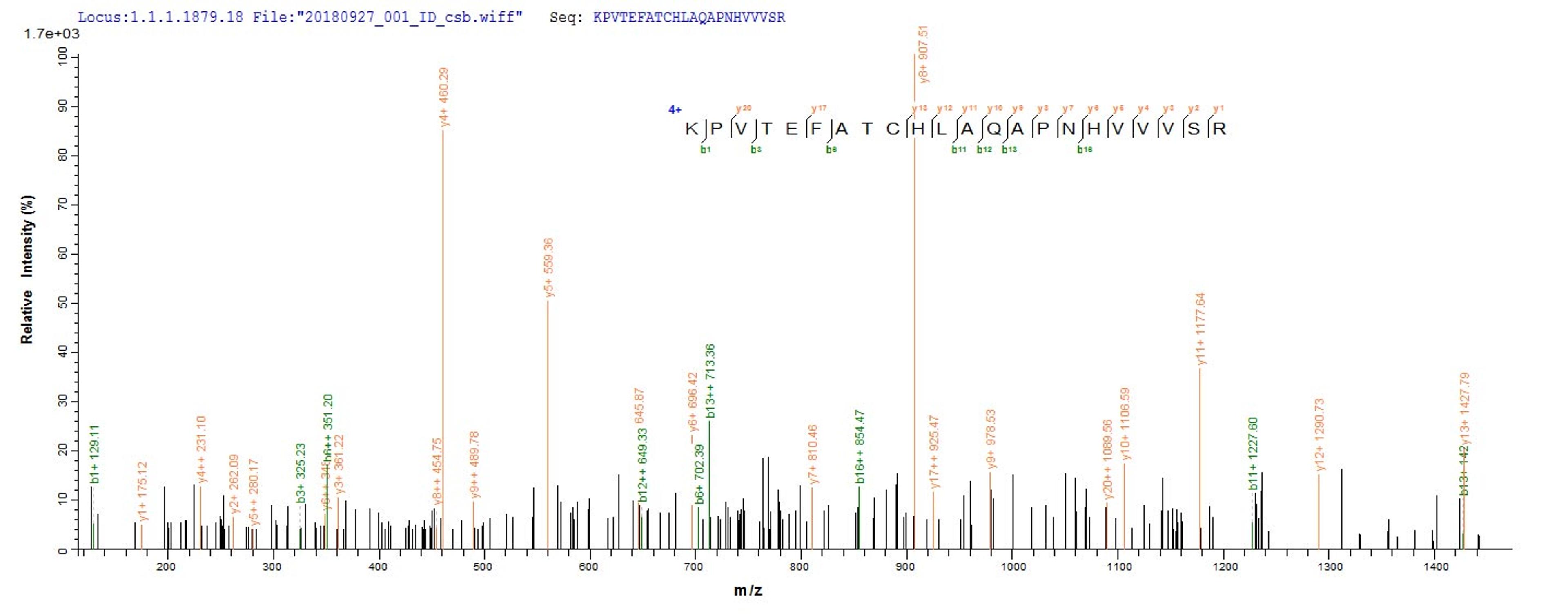 Based on the SEQUEST from database of Yeast host and target protein, the LC-MS/MS Analysis result of CSB-YP023412RA could indicate that this peptide derived from Yeast-expressed Rattus norvegicus (Rat) Tf.