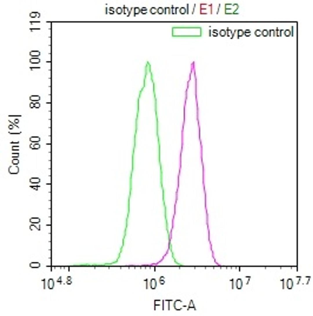 Overlay Peak curve showing A549 cells stained with CSB-RA233042A0HU (red line) at 1:100. The cells were incubated in 10% normal goat serum to block non-specific protein-protein interactions followed by the antibody (1ug/1*10<sup>6</sup>cells) for 45min at 4℃. The secondary antibody used was FITC-conjugated Goat Anti-rabbit IgG(H+L) at 1:200 dilution for 35min at 4℃.Control antibody (green line) was rabbit IgG (1ug/1*10<sup>6</sup>cells) used under the same conditions. Acquisition of >10,000 events was performed.
