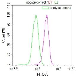 Overlay Peak curve showing A549 cells stained with CSB-RA233042A0HU (red line) at 1:100. The cells were incubated in 10% normal goat serum to block non-specific protein-protein interactions followed by the antibody (1ug/1*10<sup>6</sup>cells) for 45min at 4℃. The secondary antibody used was FITC-conjugated Goat Anti-rabbit IgG(H+L) at 1:200 dilution for 35min at 4℃.Control antibody (green line) was rabbit IgG (1ug/1*10<sup>6</sup>cells) used under the same conditions. Acquisition of >10,000 events was performed.