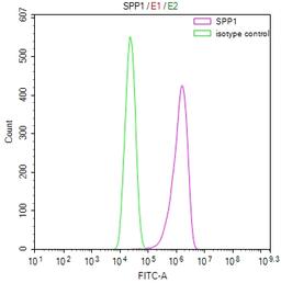 Overlay Peak curve showing A549 cells stained with CSB-RA022603MA1HU (red line) at 1:100. Then 10% normal goat serum was Incubated to block non-specific protein-protein interactions followed by the antibody (1µg/1*10<sup>6</sup>cells) for 45 min at 4°C. The secondary antibody used was FITC-conjugated Goat Anti-Mouse IgG(H+L) at 1/200 dilution for 35 min at 4°C. Isotype control antibody (green line) was mouse IgG1 (1µg/1*10<sup>6</sup>cells) used under the same conditions. Acquisition of >10, 000 events was performed.