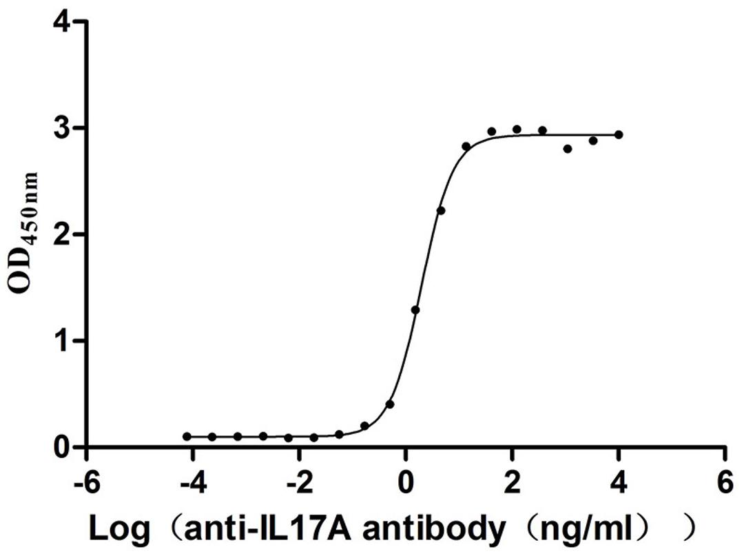 The Binding Activity of IL17A with anti-IL17A antibody. Activity: Measured by its binding ability in a functional ELISA. Immobilized Human IL17A(CSB-BP624104HU(M)) at 2 μg/ml can bind Anti-IL17A recombinant antibody, the EC<sub>50</sub> is 1.818-2.170 ng/mL.