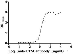 The Binding Activity of IL17A with anti-IL17A antibody. Activity: Measured by its binding ability in a functional ELISA. Immobilized Human IL17A(CSB-BP624104HU(M)) at 2 μg/ml can bind Anti-IL17A recombinant antibody, the EC<sub>50</sub> is 1.818-2.170 ng/mL.