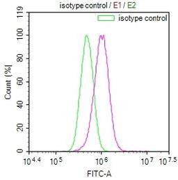 Overlay Peak curve showing PC3 cells stained with CSB-RA285197A0HU (red line) at 1:100. The cells were fixed in 4% formaldehyde and permeated by 0.2% TritonX-100. Then 10% normal goat serum to block non-specific protein-protein interactions followed by the antibody (1ug/1*10<sup>6</sup>cells) for 45min at 4℃. The secondary antibody used was FITC-conjugated Goat Anti-rabbit IgG(H+L) at 1:200 dilution for 35min at 4℃.Control antibody (green line) was rabbit IgG (1ug/1*10<sup>6</sup>cells) used under the same conditions. Acquisition of >10,000 events was performed.