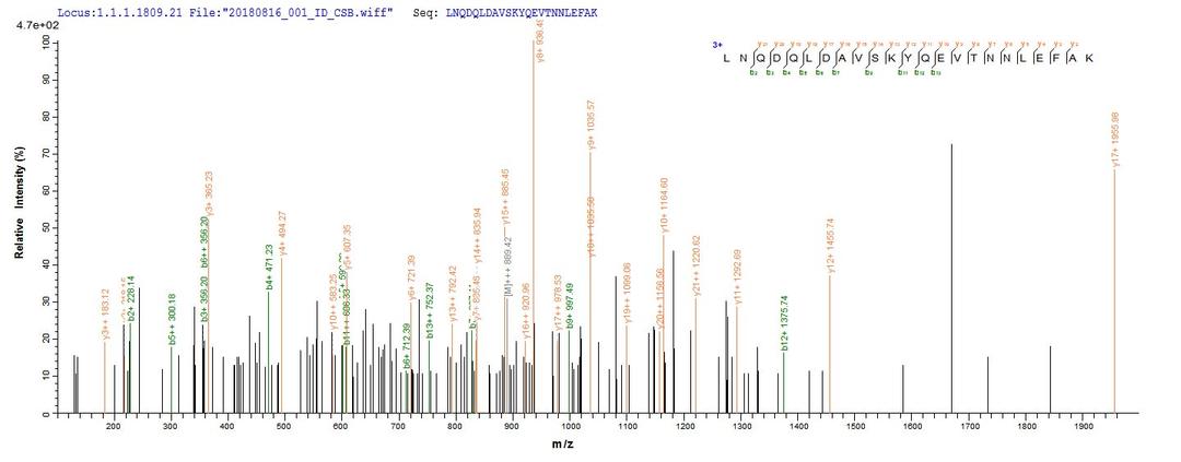 Based on the SEQUEST from database of Baculovirus host and target protein, the LC-MS/MS Analysis result of CSB-BP614529HU could indicate that this peptide derived from Baculovirus-expressed Homo sapiens (Human) CAPRIN1.