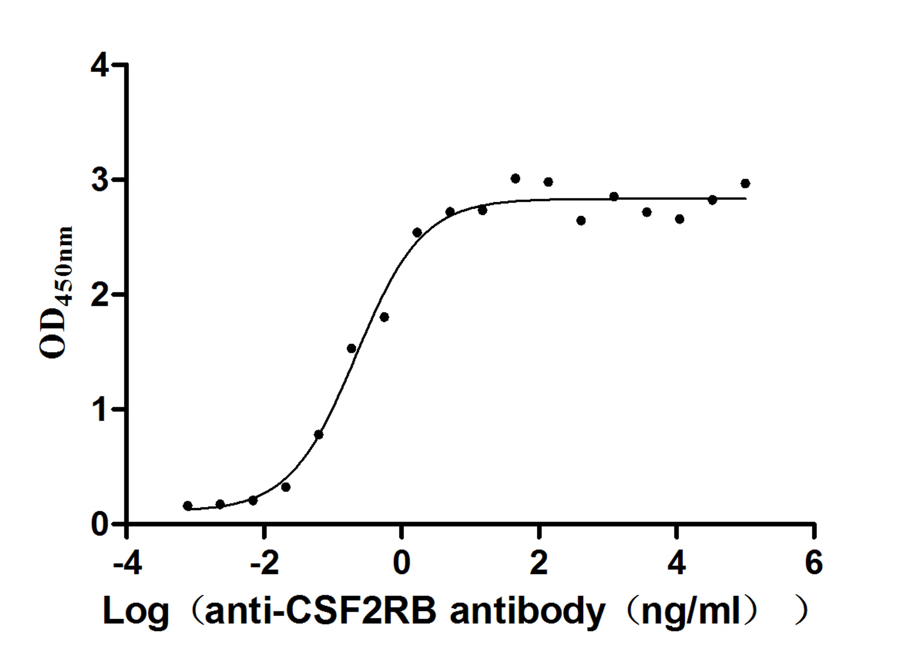 The Binding Activity of CSF2RB with anti-CSF2RB antibody. Activity: Measured by its binding ability in a functional ELISA. Immobilized Human CSF2RB(CSB-MP006047HU) at 2 μg/mL can bind Anti-CSF2RB recombinant antibody, the EC<sub>50</sub> is 0.1594-0.3046 ng/mL.